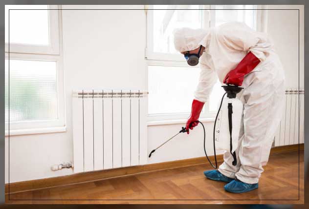 Fumigation 13