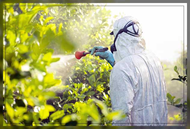 Fumigation 15