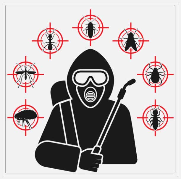 Fumigation 16