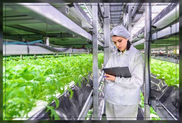 Vertical farming 11