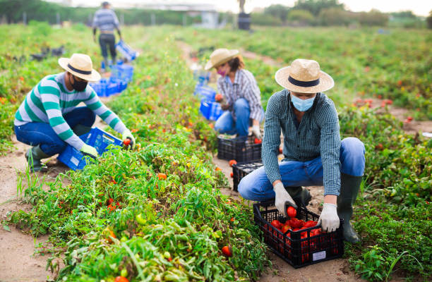 agricultural management