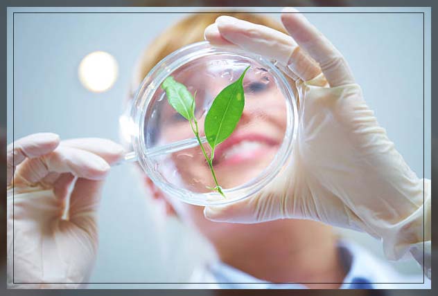 biotechnology 11
