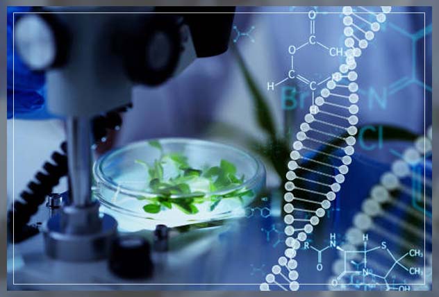biotechnology 14