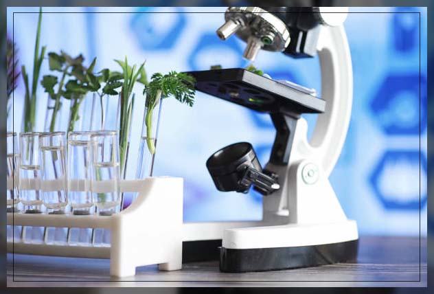 biotechnology 15
