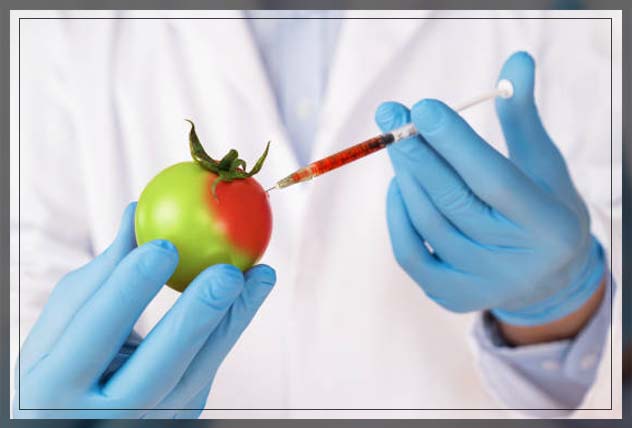biotechnology 16