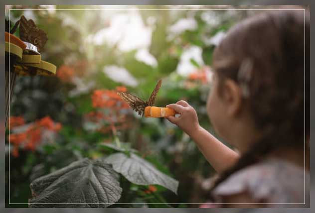 planting healthy vegetables 
