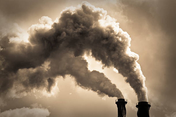 environmental factors for agricultural sustainability