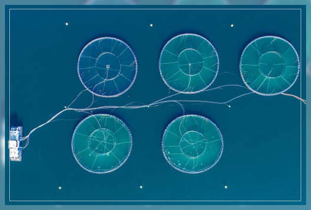 fish farming