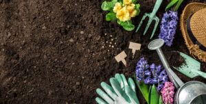 soil test is important for gardening