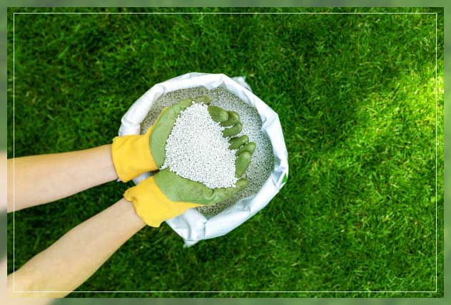 plant fertilizer(1)