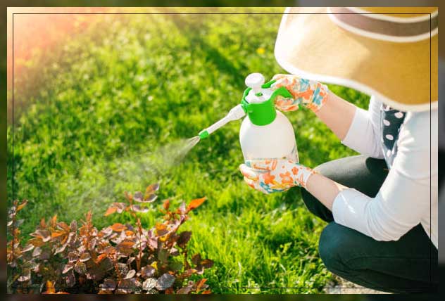 pesticides risks