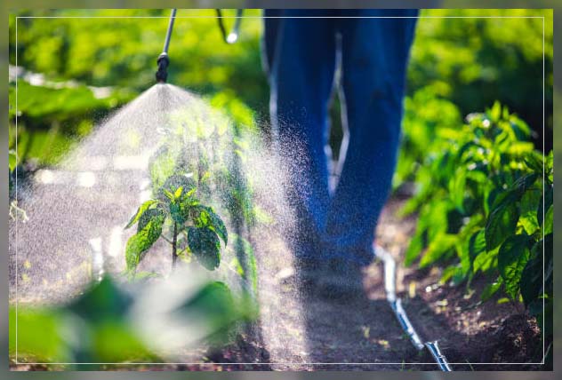 pesticides
