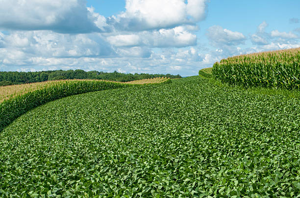 sustainable agriculture and farming
