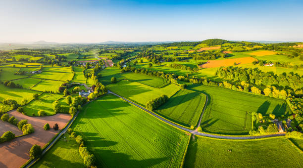 sustainable agriculture conclusion