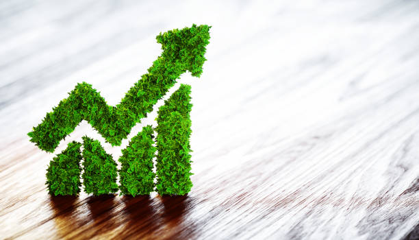 focus of sustainable agriculture