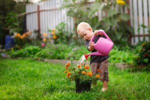 Attain your beautiful, organic garden