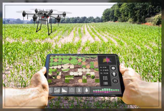 Precision agriculture 15