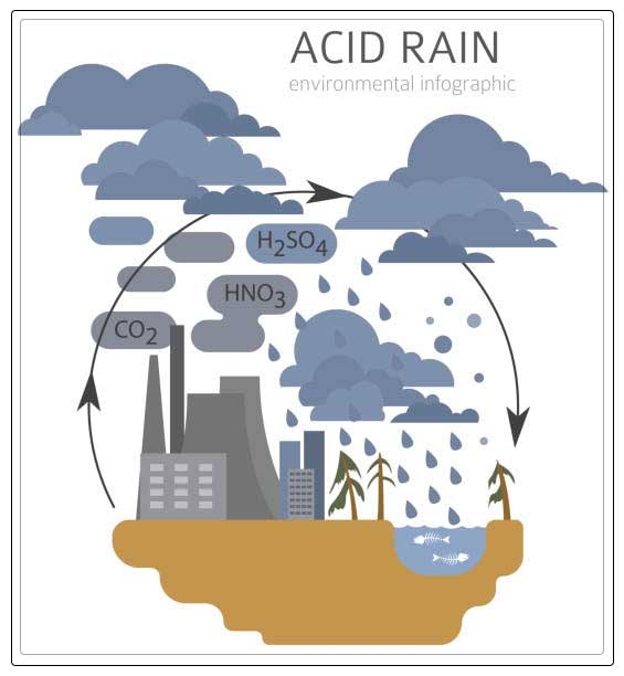acid rain 3