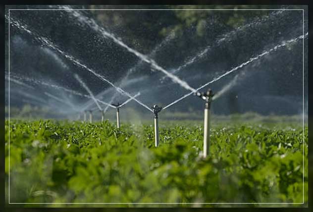 water sprinklers on field
