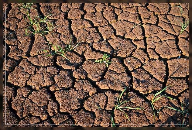 soil acidification