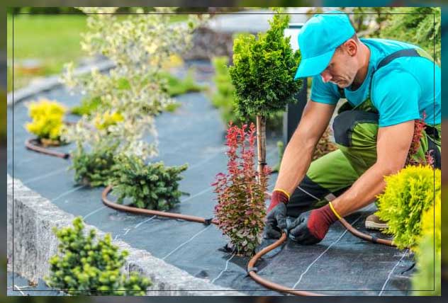 man using a type of irrigation system