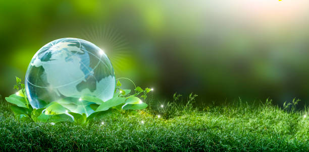 Eco friendly farming 9