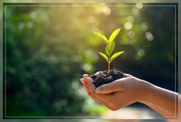 Industrial Farming and Sustainable Farming 4