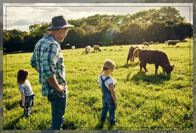 Industrial Farming and Sustainable Farming 5