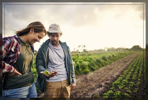 Organic farming 14