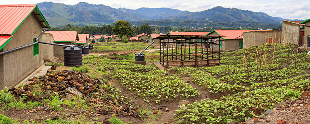 Rainwater Harvesting 3