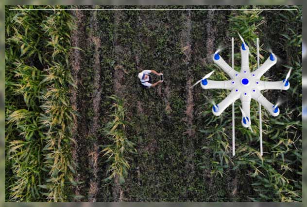 controlled environment agriculture