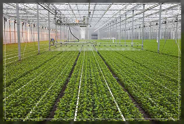industrial farming 4