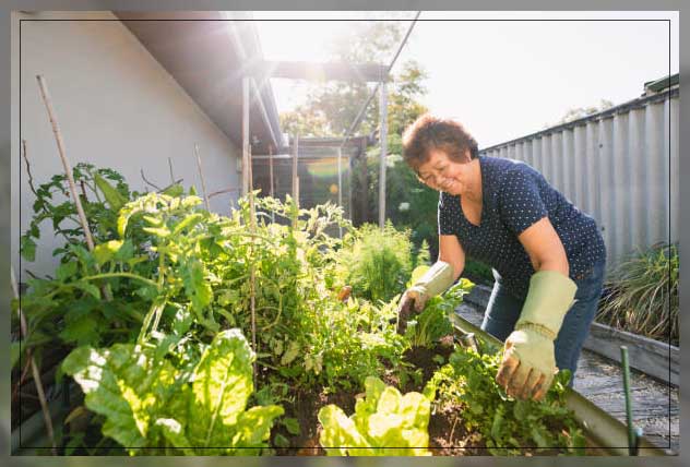 senior woman growing plants at a location for fruits and vegetables 
