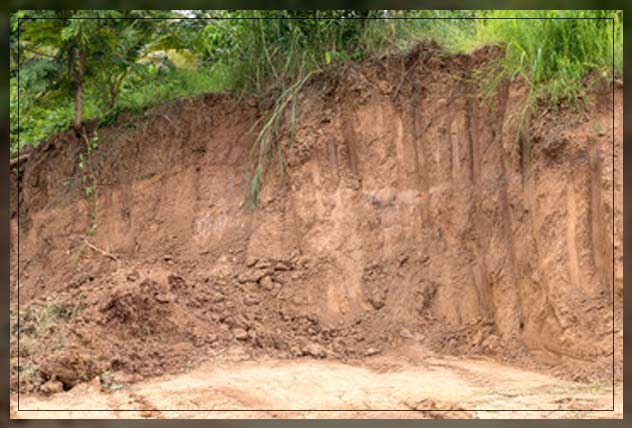 ensuring how soil can remain intact