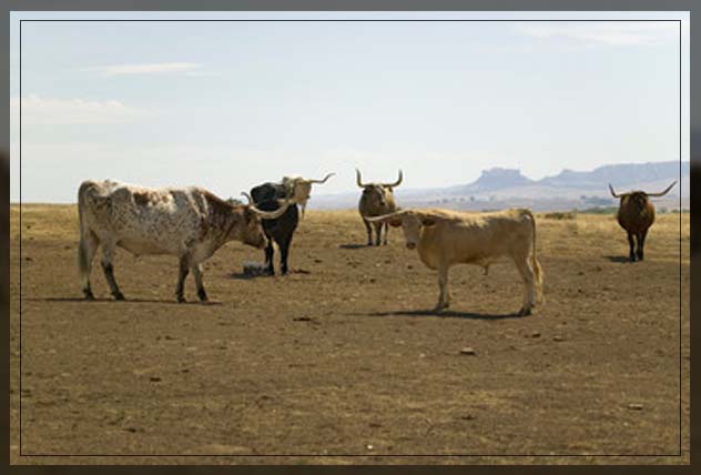 ensuring sustainability 