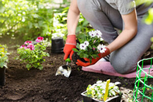 choose plants suiting to ambience
