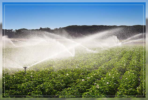 water usage