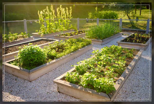 what are water gardening beds?