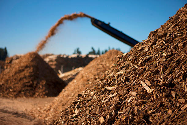 Biomass Energy 1