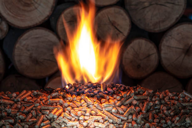 Biomass Energy 6