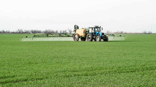 Npk fertilizer 10