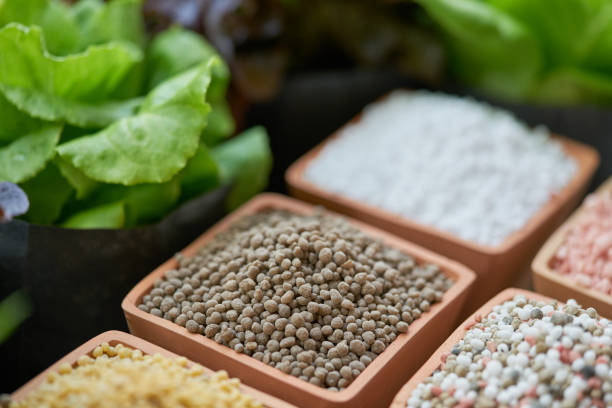 Npk fertilizer 8
