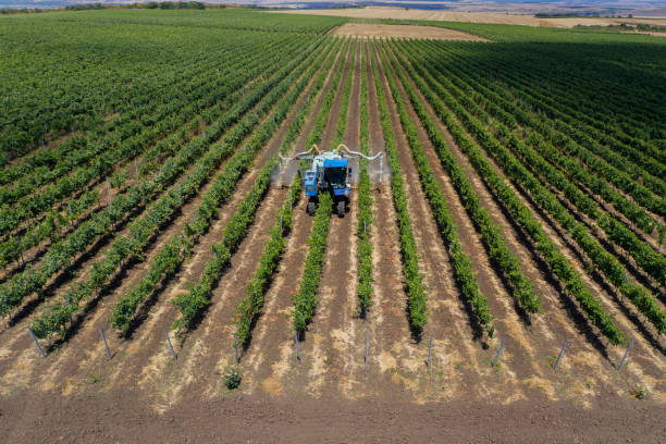 Npk fertilizer 9