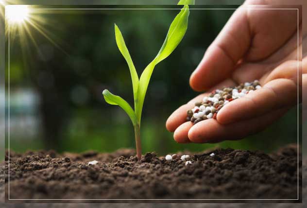 Plant fertilizer 16