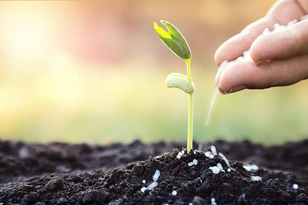 Urea Fertilizer 3