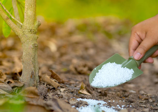 Urea Fertilizer 4