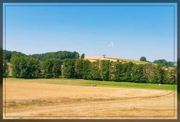 agriculture