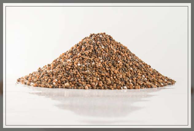 bone meal