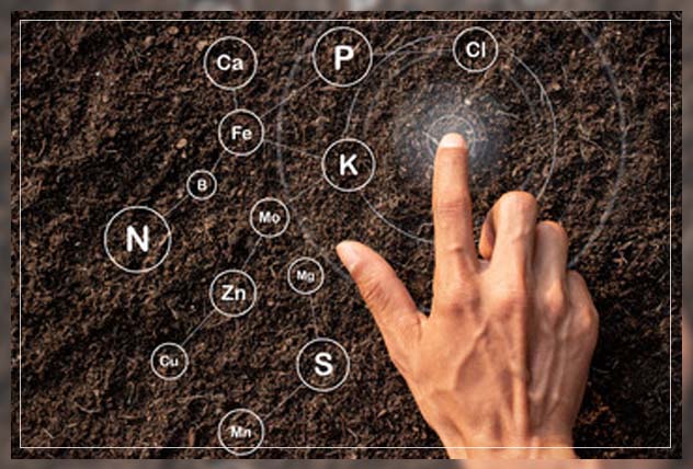 what are nitrogen fertilizers 