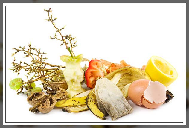 home composting materials
